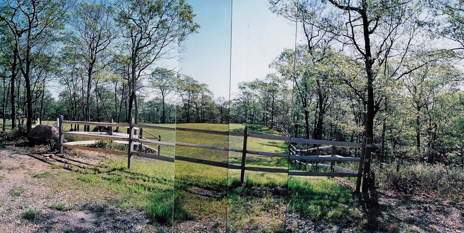 Hamptons Commercial Horse Farms